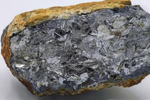 Larvotto_antimony_bnbwa