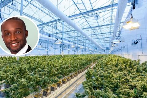 Main pic: Richard T on Unsplash. Inset: Zelira CEO and Global Managing Director Dr. Oludare Odumosu.