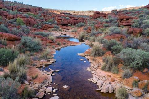 CORAZON CZN 2POOLS BNBWA