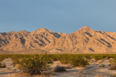 DATELINE RESOURCES MUSIC VALLEY BULLS N' BEARS