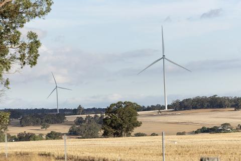 Flat Rocks wind farm near Kojonup. Photo: Tom Zaunmayr