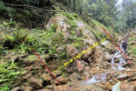 SIREN_QUEEN CHARLOTTE_BULLSNBEARSWA