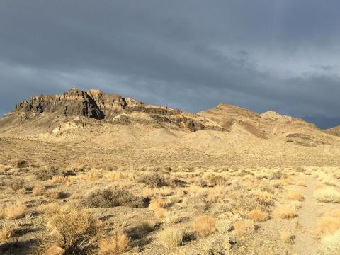 West Desert 