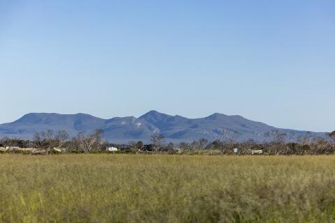 Altora Ag is selling farmland around Ravensthorpe. Photo: Tom Zaunmayr