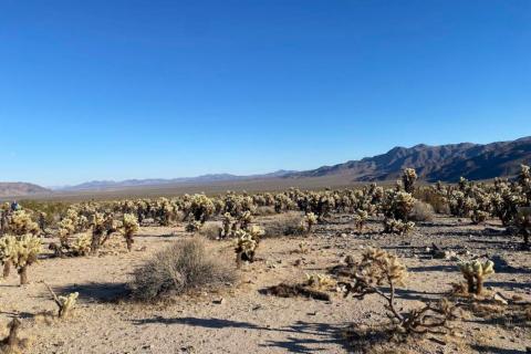 DATELINE_MusicValleyCali_BNBWA
