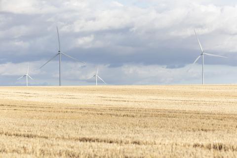 Renewable energy is an emerging market for the Indigenous economy. Photo: Tom Zaunmayr