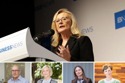 Witnesses at the Senate inquiry