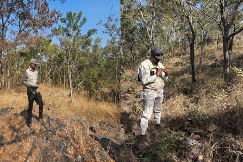 patriot