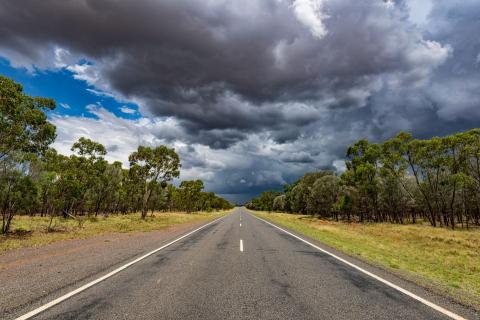 Qld