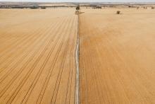 WorkSafe supports farm fatality inquiry recommendations