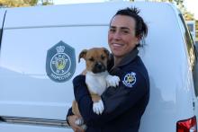 Progressive thinking helps RSPCA WA make strides