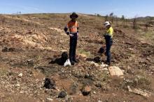 CSIRO helps Octava kick-start WA critical minerals search