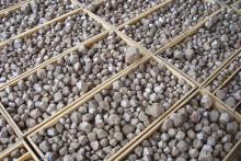 Globe puts 12-tonne bulk sample on road to testwork