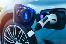 Askari runs mineral rule over Red Peak soil samples