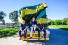 Arbor Centre plants seeds of reform