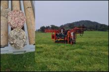 ATO cash boost for Godolphin exploration plans