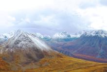 PolarX study predicts US$53m a year in free cash