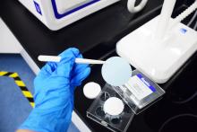 Chimeric gets US backing for “natural killer” cancer trial
