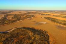 Trigg Minerals signals potash pivot