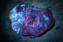 Infinity hits high-grade lithium in Pilbara pegmatites