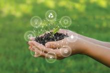 Charting the ESG Course for SMEs: Navigating Supply Chain Sustainability