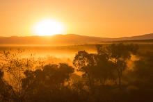 Pilbara mourns death of Aboriginal champion