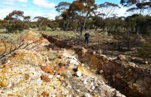 Auric to resume at Jeffreys Find in March