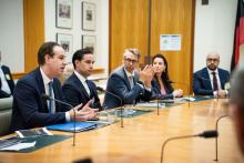 Tesla, Wyloo meet feds on battery woes