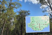 Record heatwave affects schools