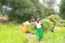 Climate change solution a key to environmental stability and safety