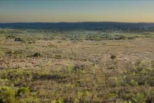 EPA urges halt to Kenwick wetland rezoning