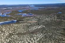 Winsome eyes Canadian project