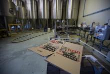 Feral set to return to WA hands