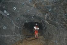 Formica appointed Kaiser Reef chair