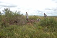 Aguia eyes cost-slashing buy for Brazilian phosphate project