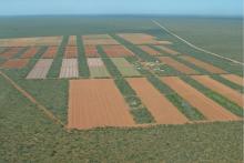 Aboriginal community buys farm