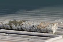 Carnaby taps investors for $17m