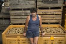 Cost-of-living drives Spudshed profit surge