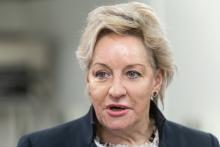 Alannah MacTiernan is head of strategic relations at ASX-listed Victory Metals.