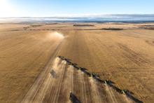 Merredin Farms has been split up among about six buyers. Photo: Colliers Agribusiness.