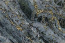 Porphyritic stockwork mineralisation at Xanadu Mines’ flagship Kharmagtai copper-gold project in Southern Mongolia.