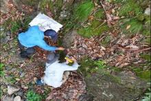 NOVO RESOURCES_JohnBullNSW_BNB250227