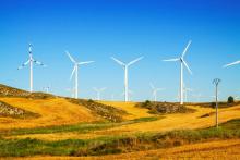 SUVO_WIND FARM_BULLSNBEARWA
