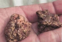 BMG_INVINCIBLE_Au_BULLSNBEARSWA_1440X960