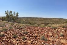 GREENTECH_PILBARA LITHIUM JV_BULLSNBEARSWA