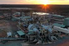 Horizon Metals_Black Swan _BullsNBearsWA_WAN-BN