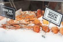 KB Australia sold the majority of its west coast rock lobster fishery licence. Photo: Gabriel Oliveira