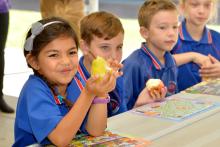 foodbank wa
