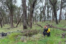 Thunderbird_250520_Achill_BullsNBearsWA_BN