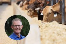 Harvey Gaynor will commence as chief executive of Harvest Road Group in July. 